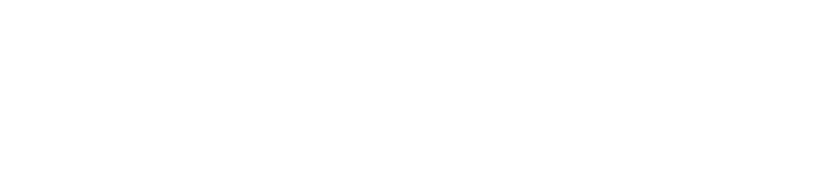 FOKUS BAUM – Das Seminar