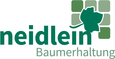 FOKUS BAUM – Das Seminar